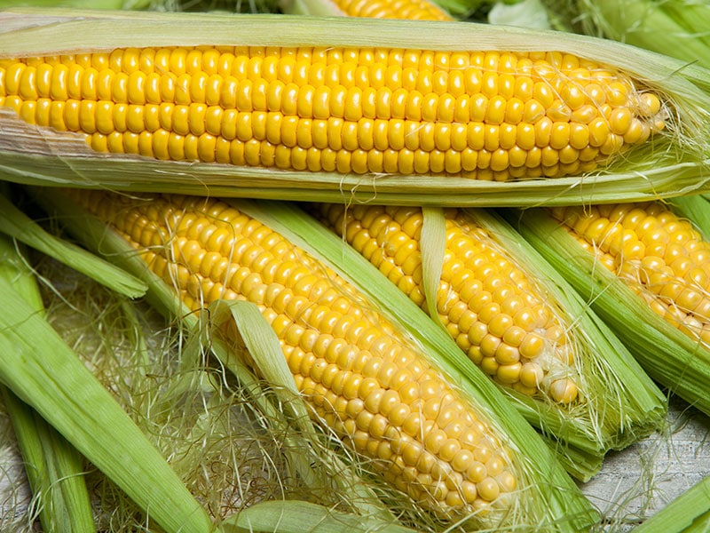 Comment réchauffer le maïs en épi - 6 façons simples et efficaces 2023
